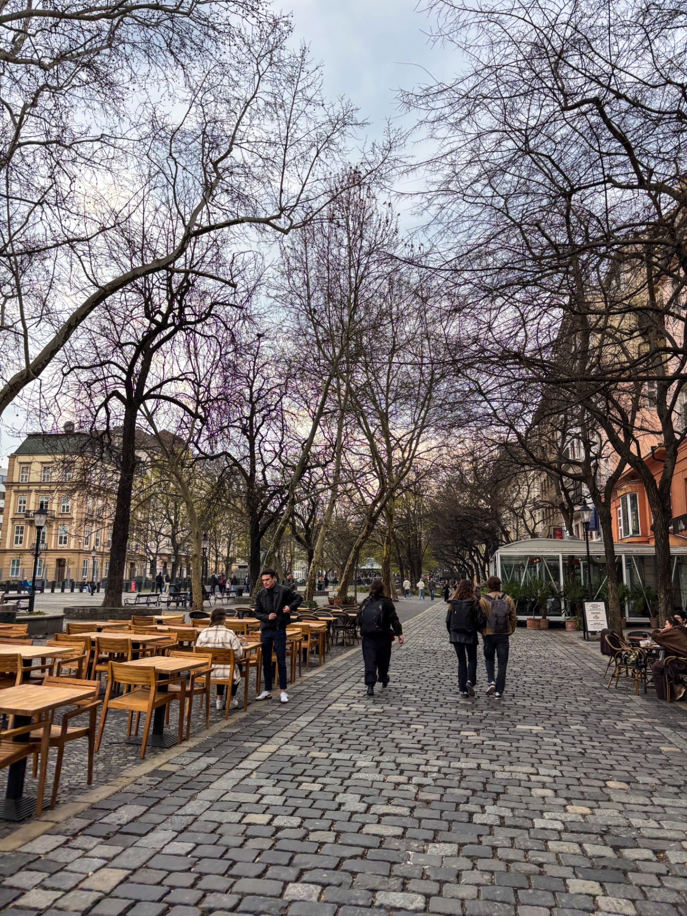 Terrasse de café sous les arbres d'une rue piétonne de Bratislava