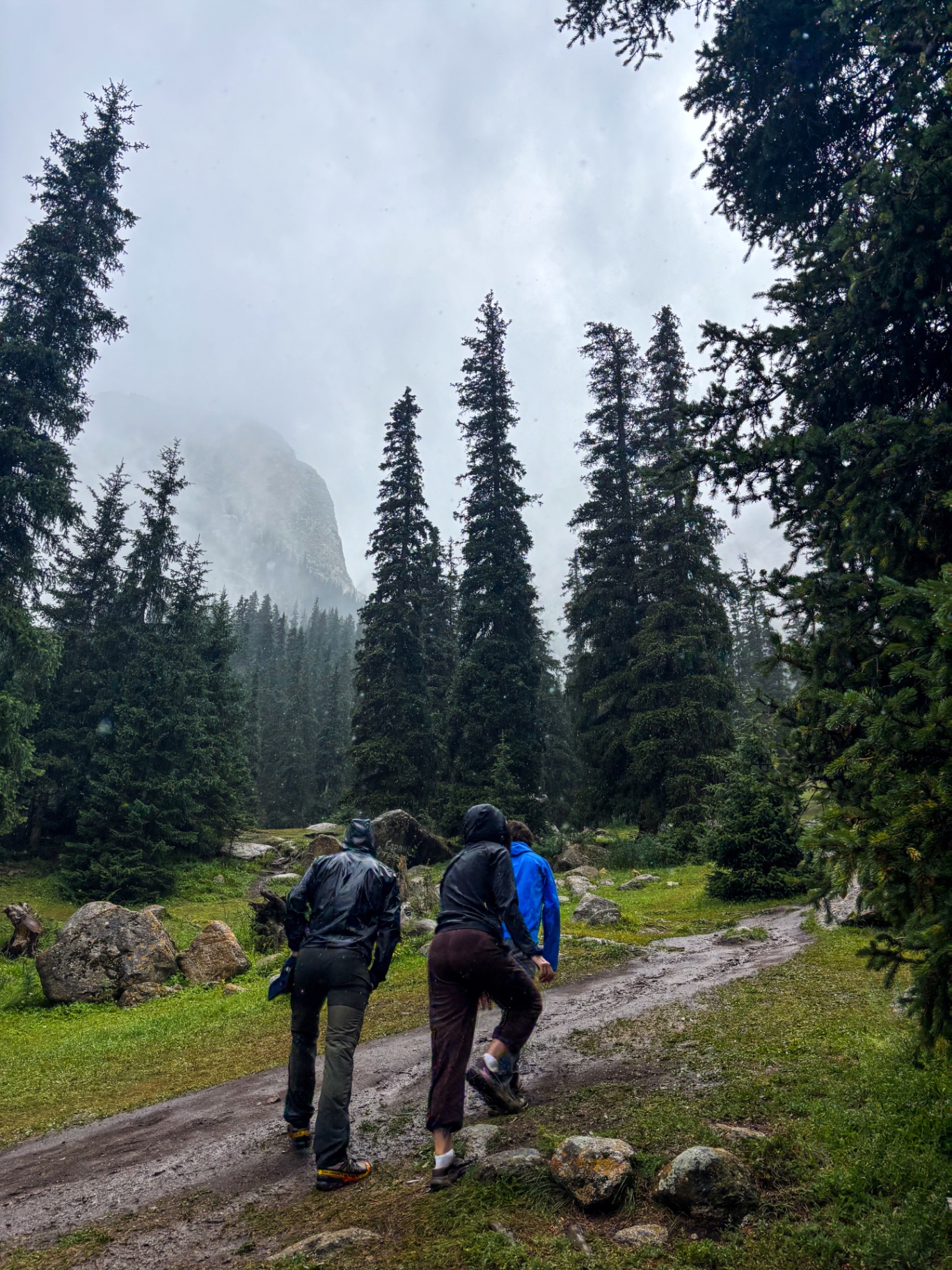 Randonneurs sous la pluie sur un sentier de la vallée de Barskoon bordé d’épicéas