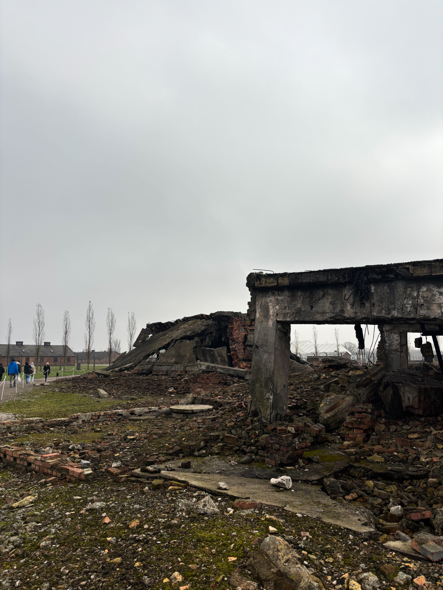 Ruines des chambres à gaz et fours crématoires détruits de Birkenau
