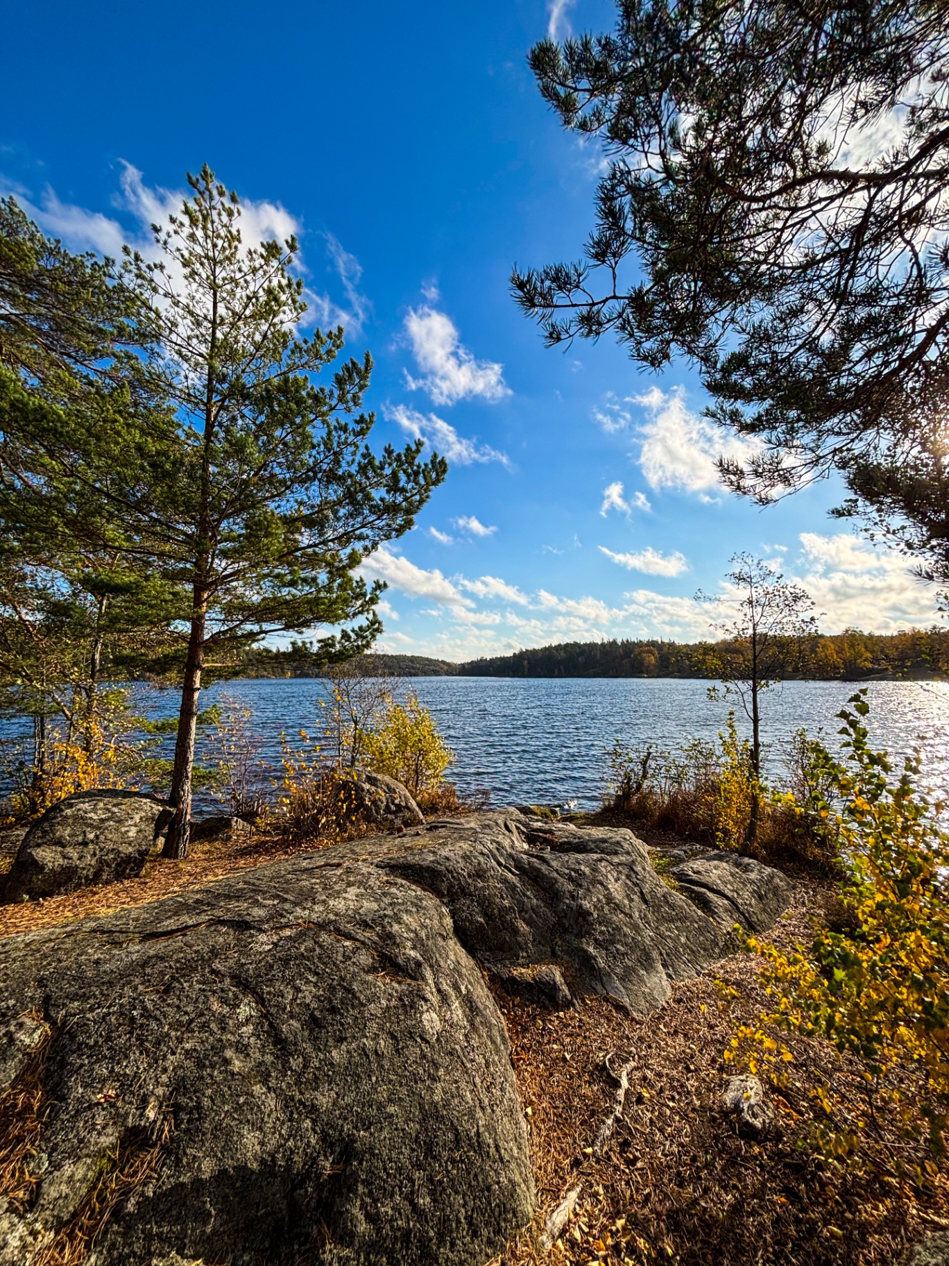 Grand lac entouré de forêts de pins et de rochers polis, dans la réserve de Nacka