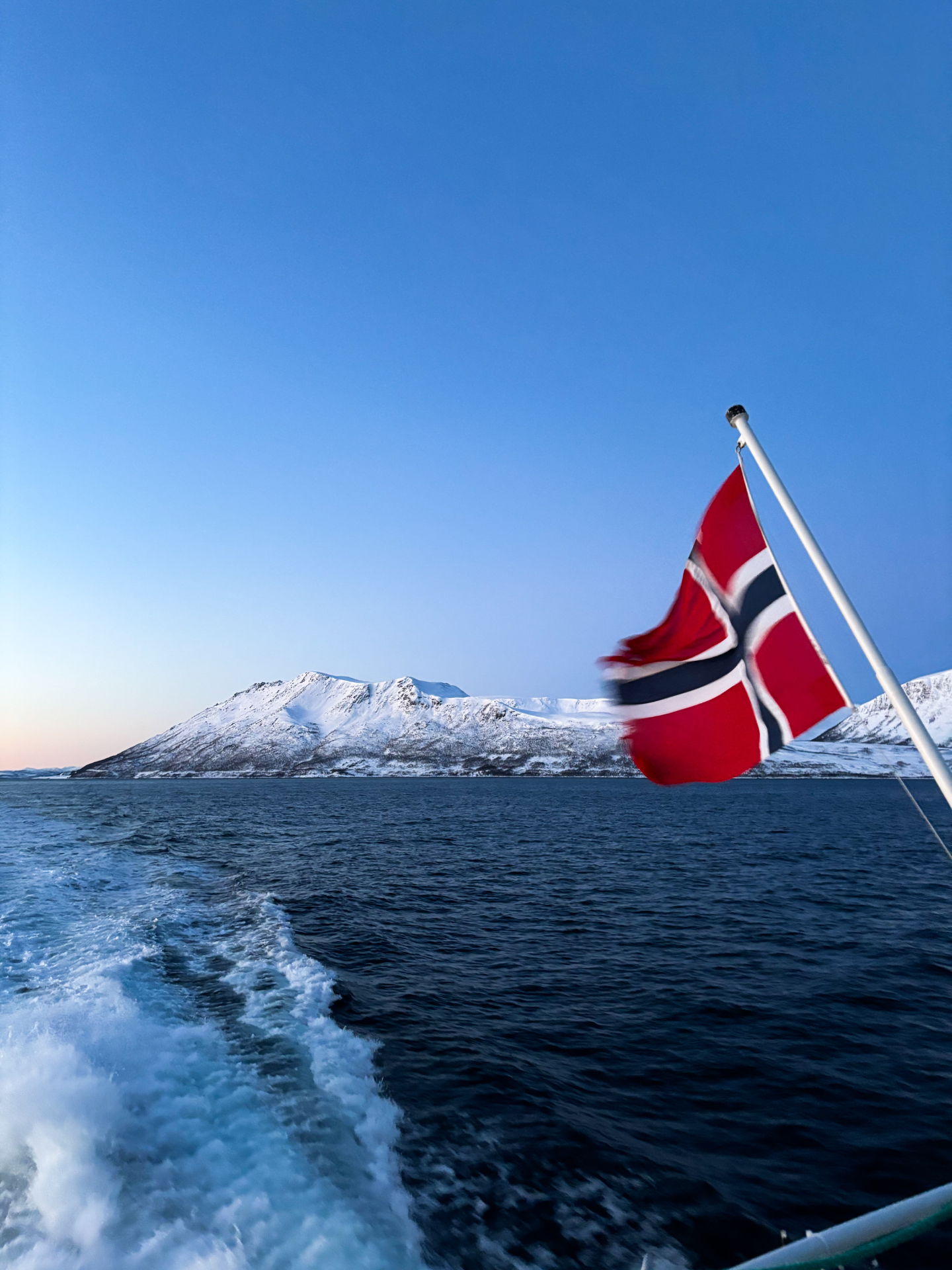 Drapeau norvégien flottant sur le pont, fjords et montagnes enneigés en arrière-plan