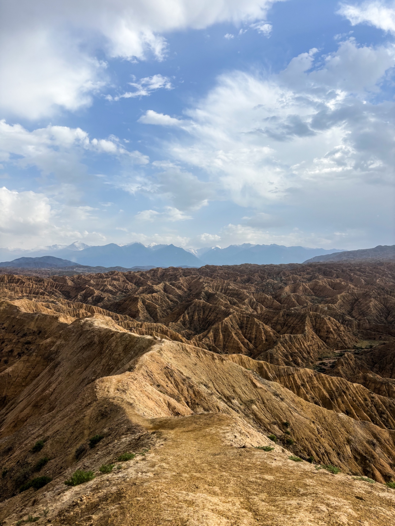 Panorama de crêtes érodées face aux montagnes enneigées