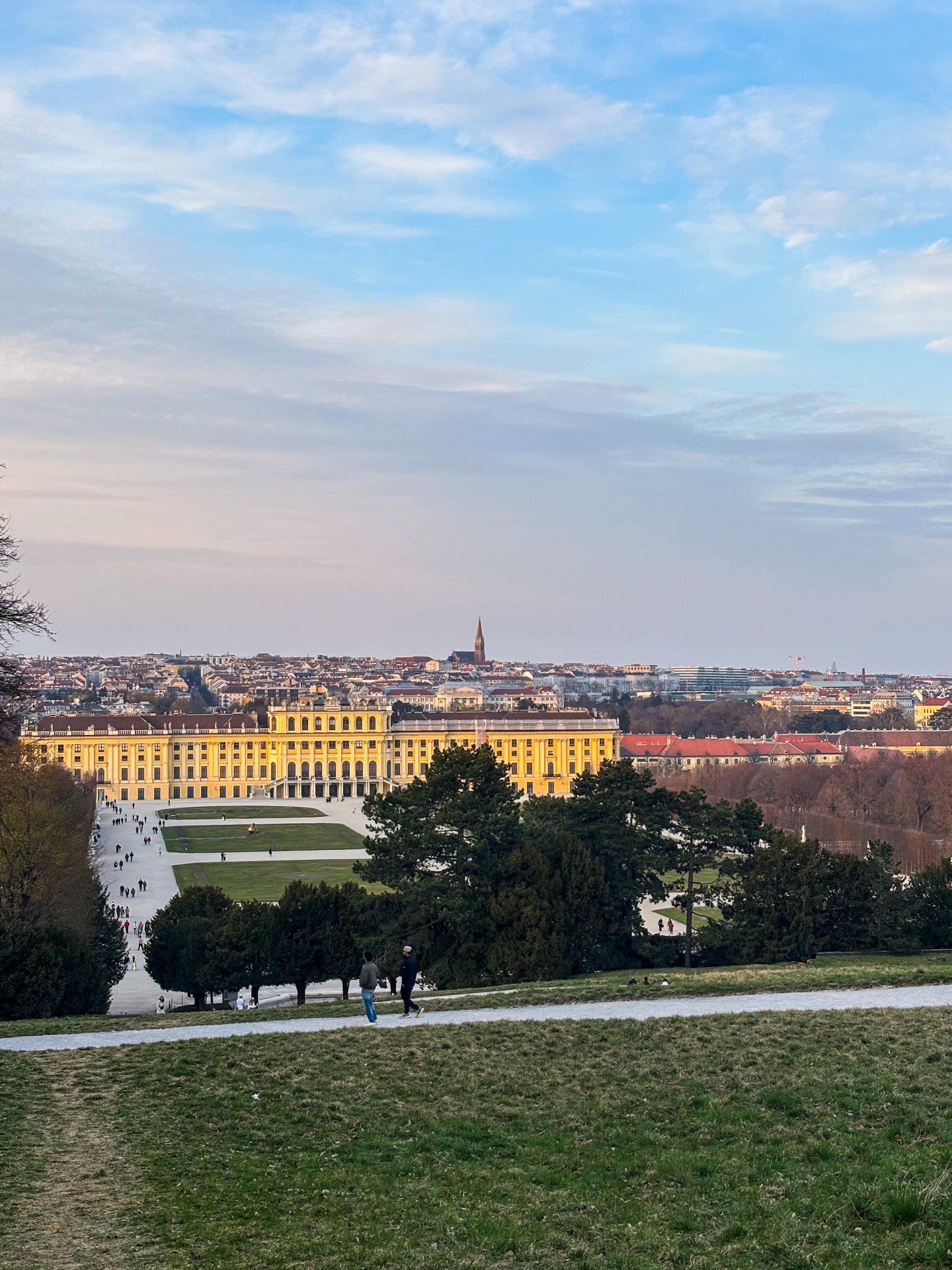 Vue depuis la colline de la Gloriette sur le château de Schönbrunn et les toits de Vienne