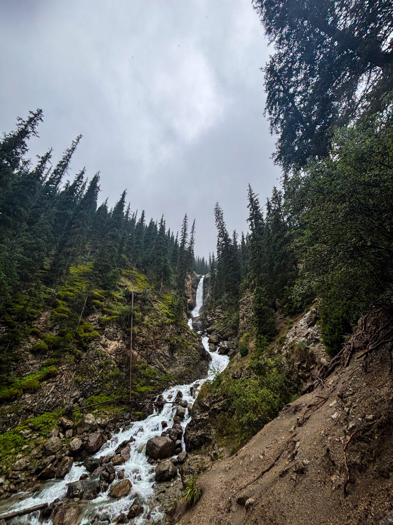 Torrent dévalant une gorge forestière vers la première chute de Barskoon