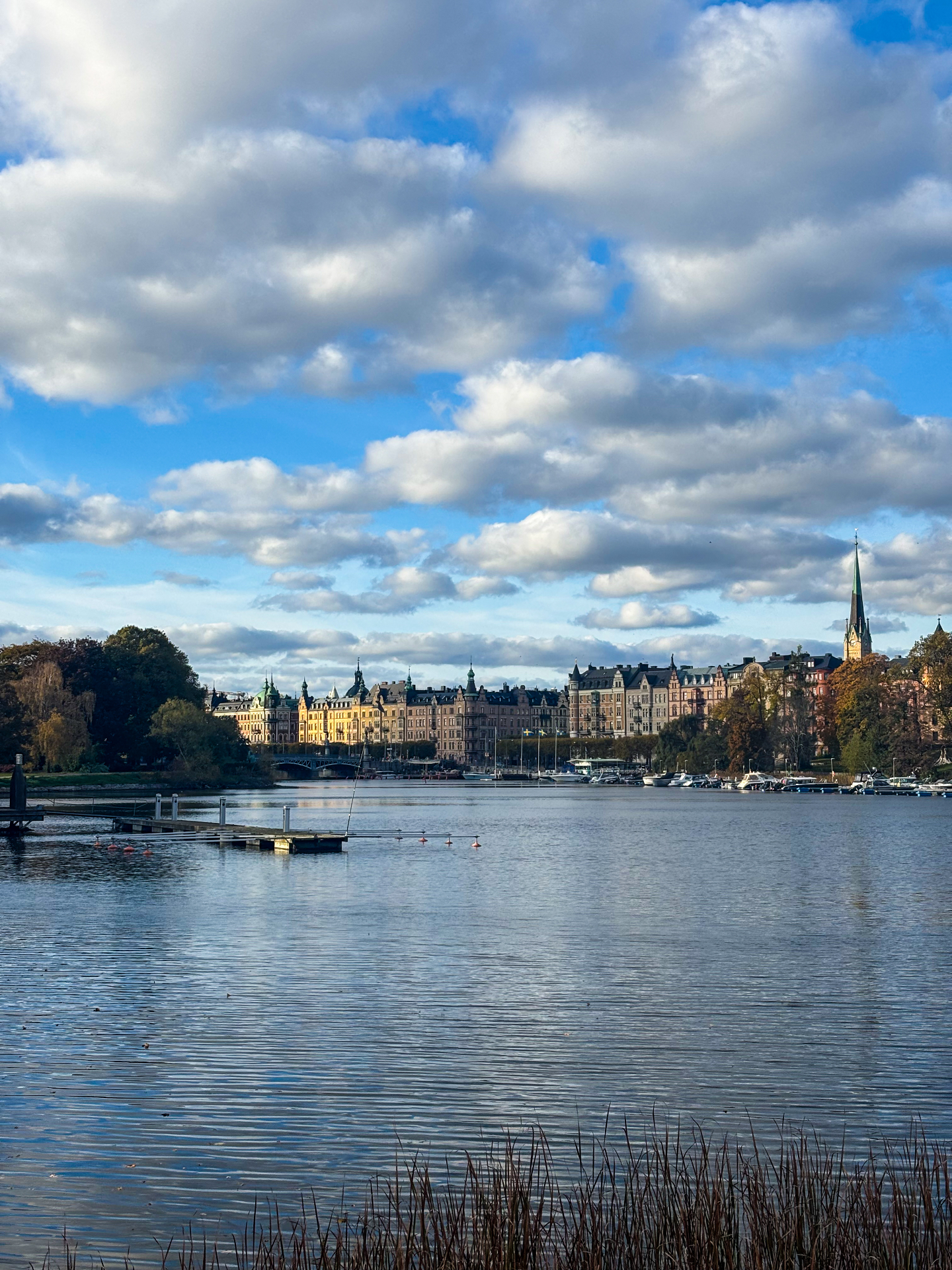 Vue sur l’eau et les façades des quais de Stockholm depuis les berges de Djurgården