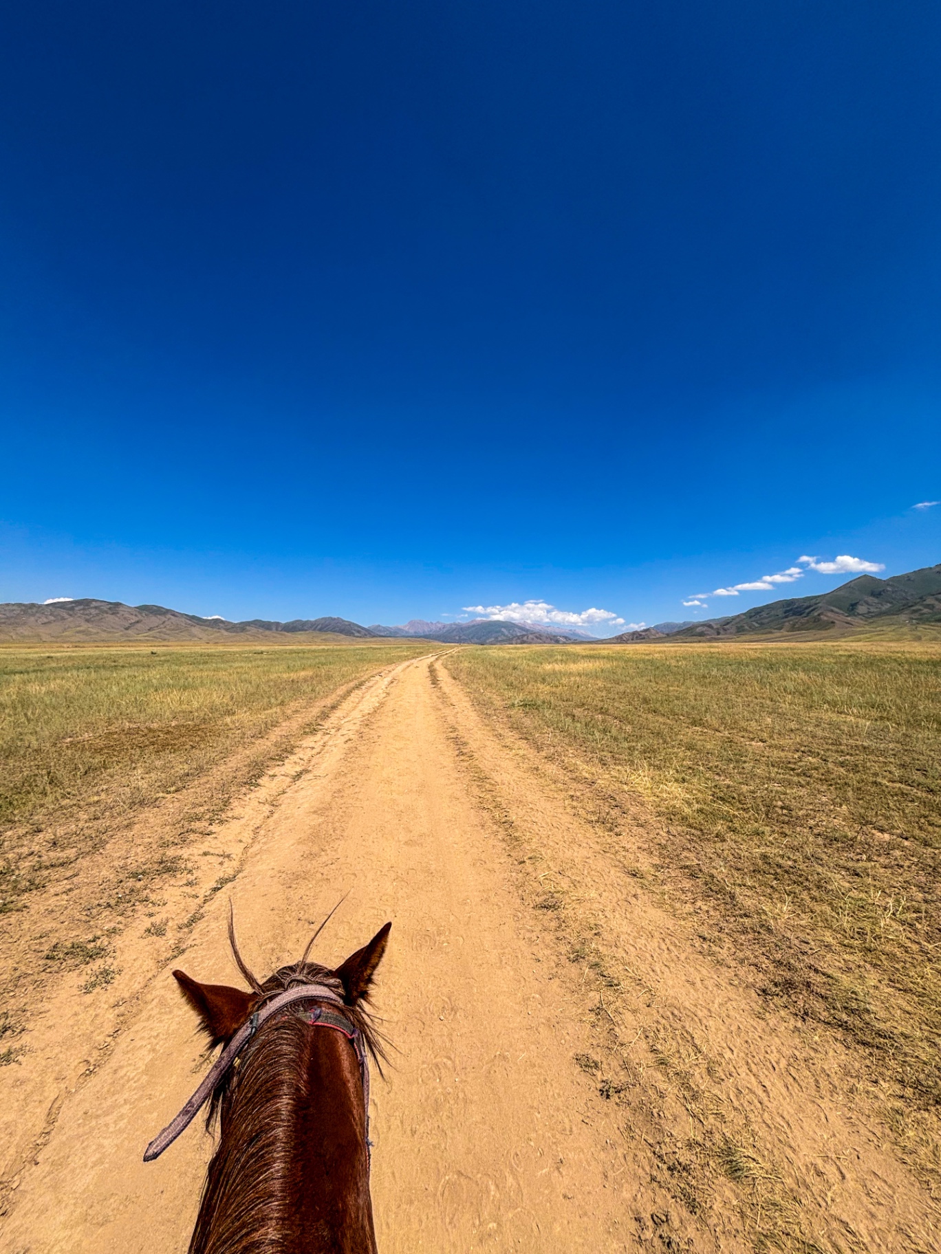 Vue depuis la selle sur une piste de terre traversant la steppe kirghize