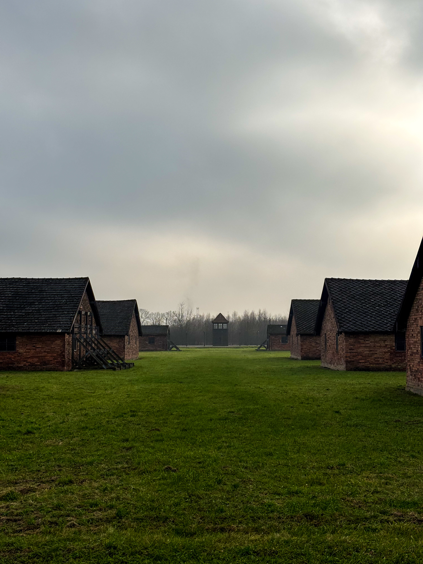 Baraquements de Birkenau alignés avec une tour de garde à l'horizon