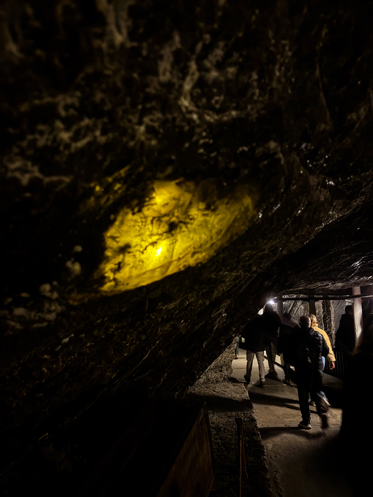 Galerie à la lumière dorée avec des visiteurs