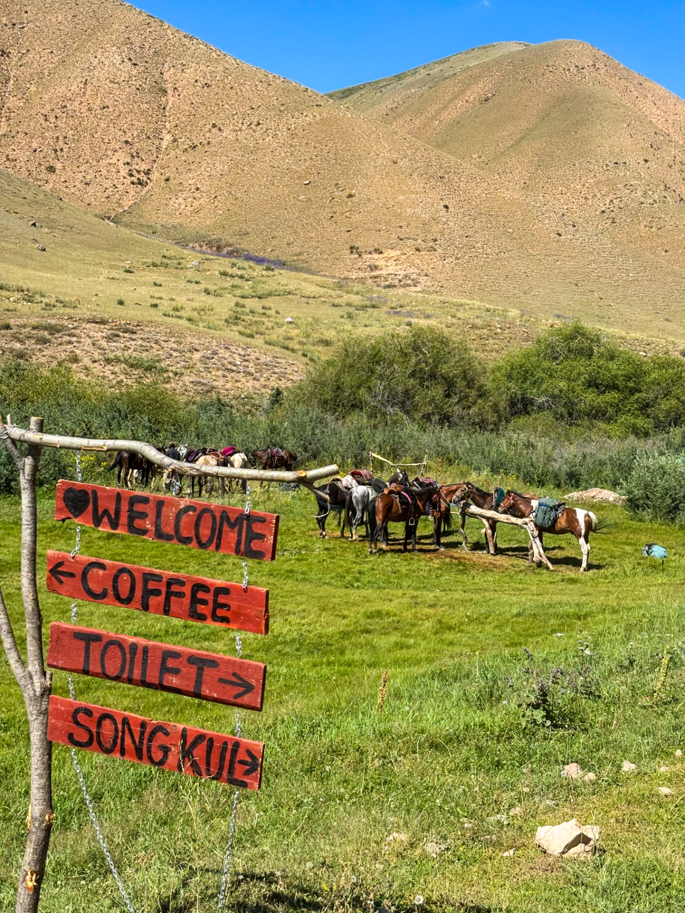 Pancartes en bois indiquant Song-Kul près de chevaux attachés