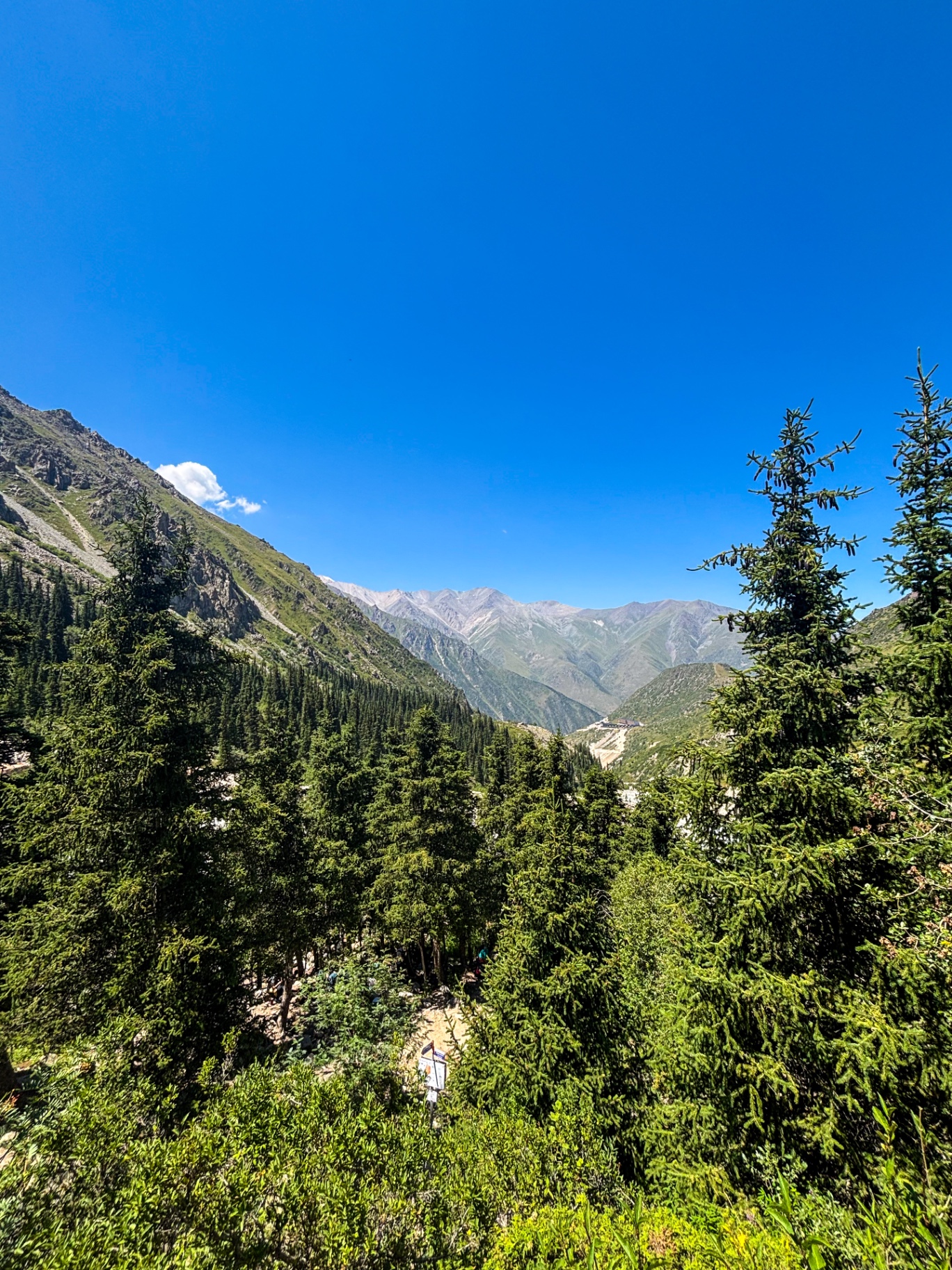 Forêt de conifères et sommets calcaires du parc d’Ala Archa