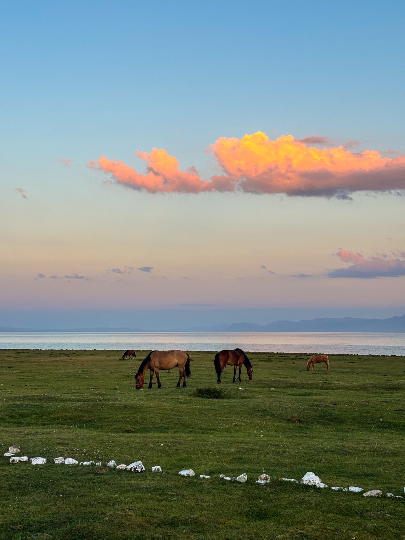 Chevaux au pâturage devant le lac Song-Kul au crépuscule