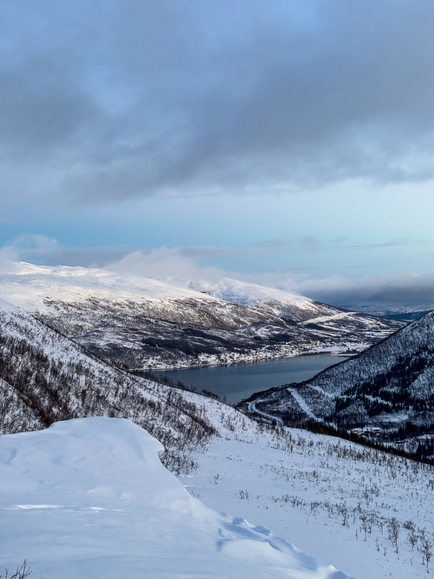 Vue depuis les hauteurs de Kvaløya sur le fjord et la route sinueuse