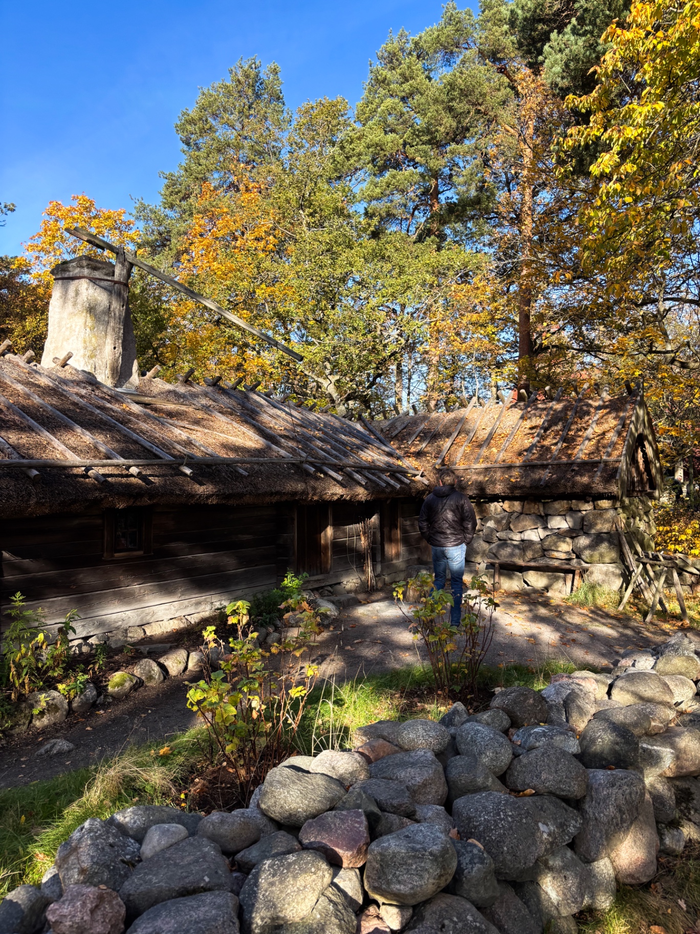 Ferme ancienne en rondins et murets de pierre, toits de chaume, à Skansen