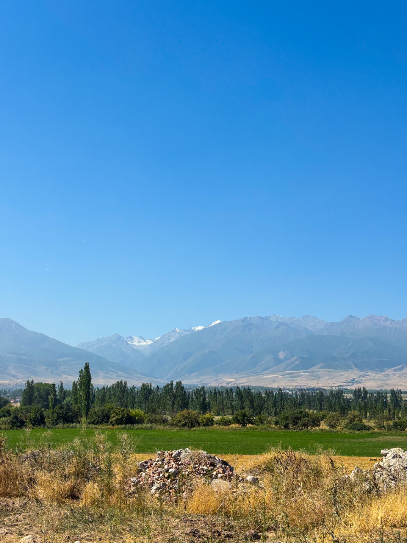 Plaine cultivée et chaîne du Tian Shan sur la route du parc d’Ala Archa
