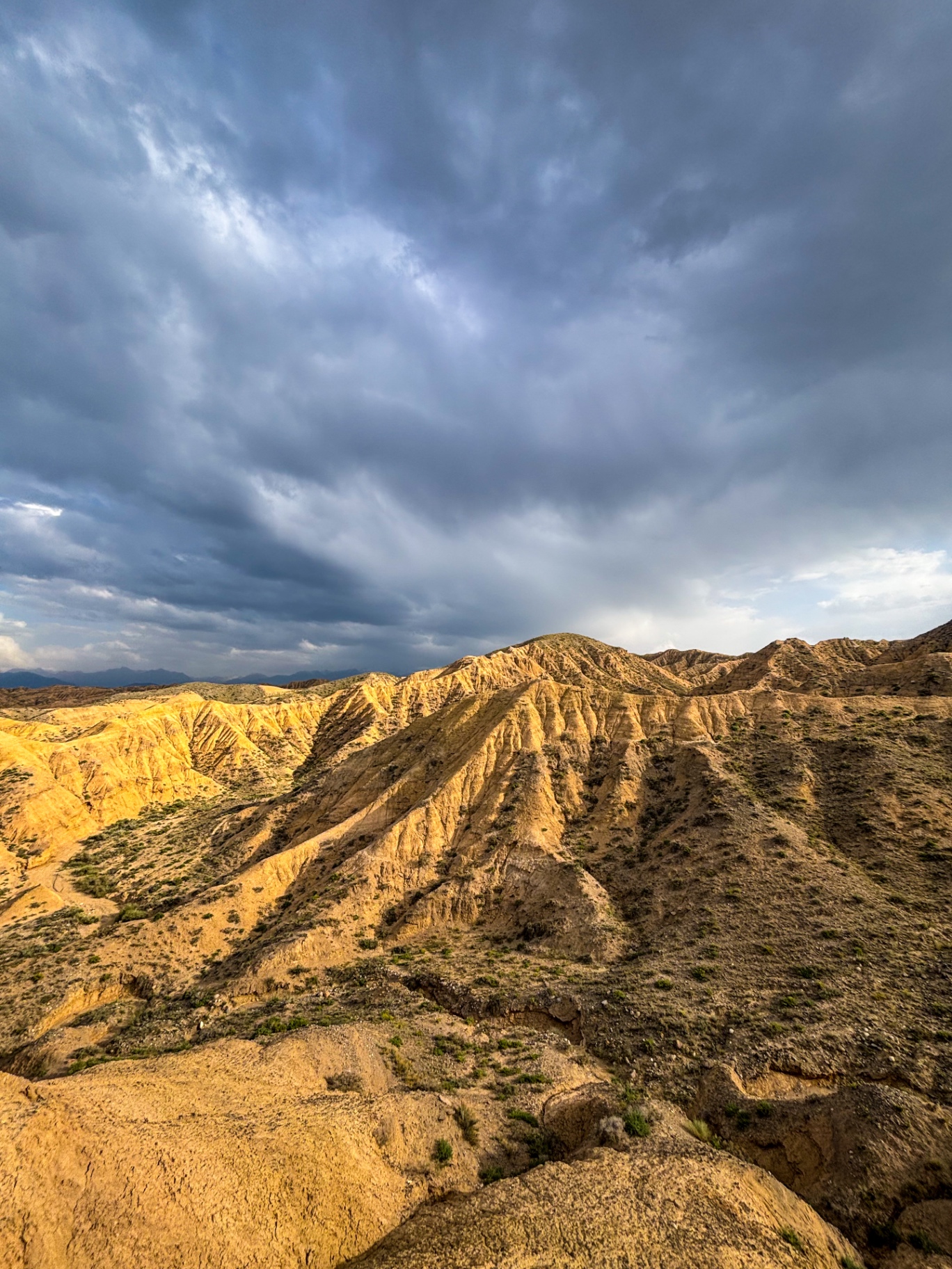 Ravines dorées du canyon d’Ak-Sai sous un ciel d’orage
