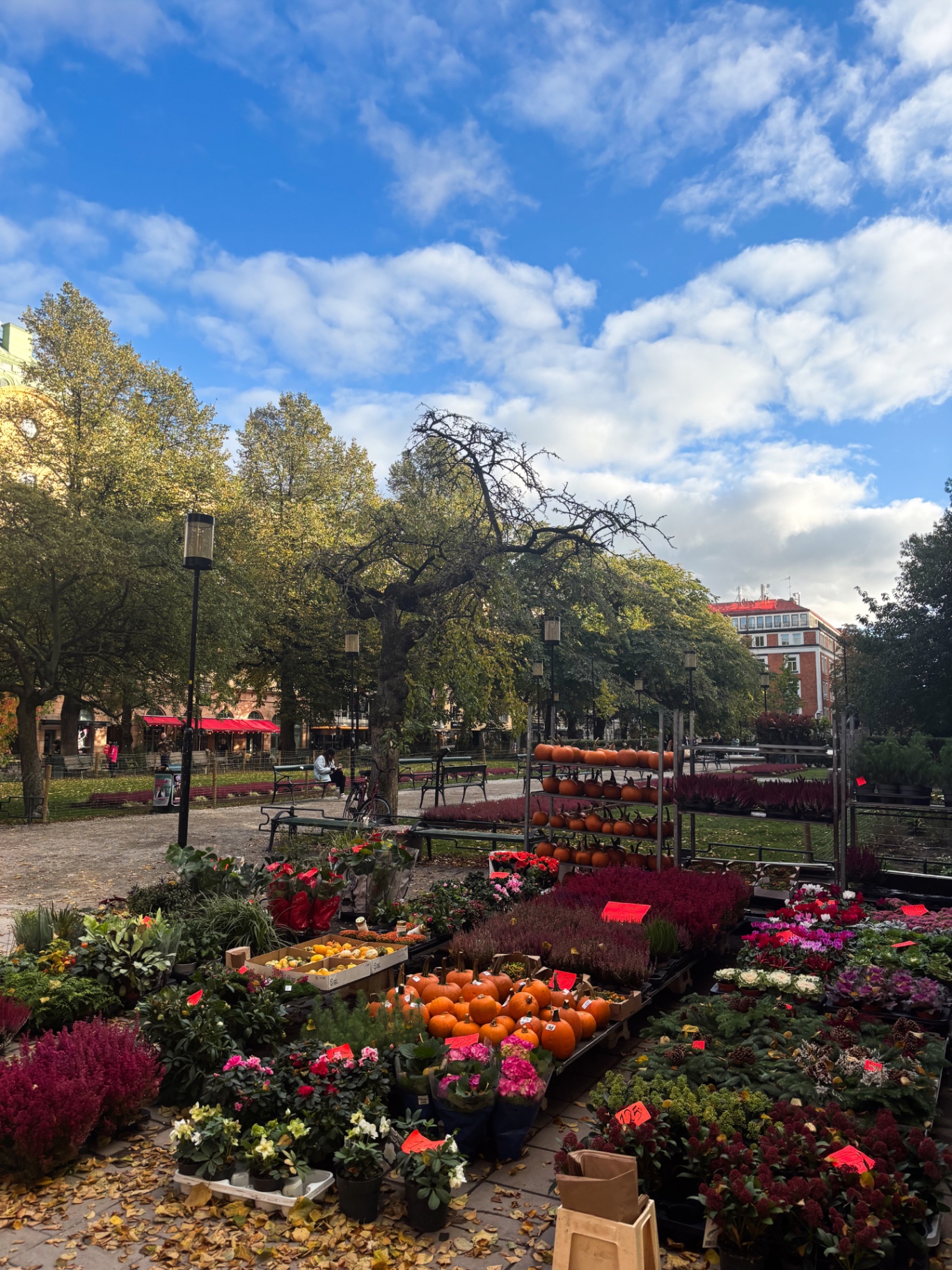Marché aux fleurs et aux citrouilles dans un parc de Södermalm