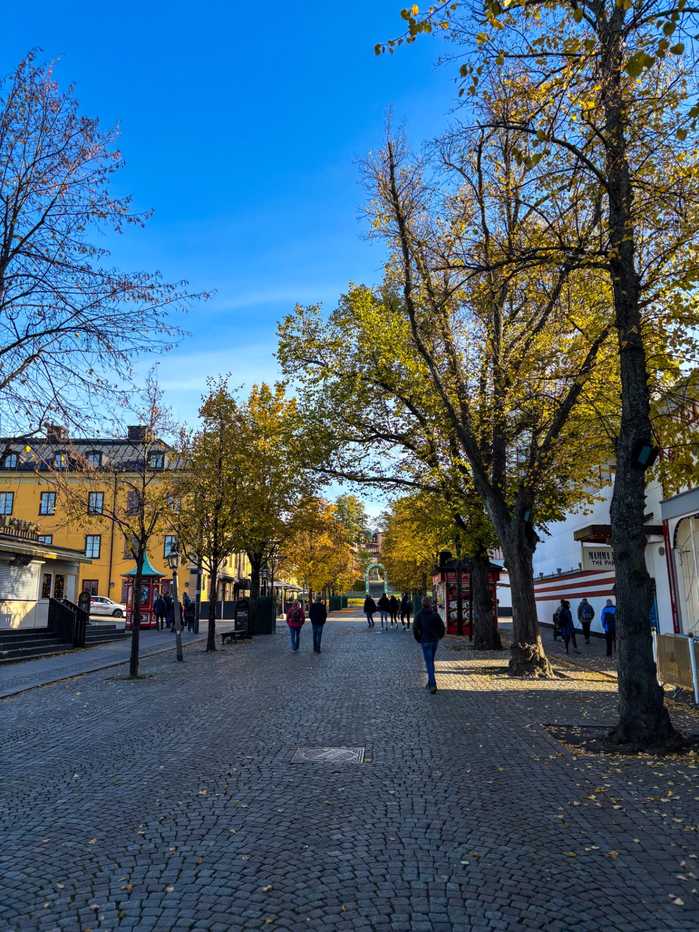 Allée pavée de Djurgården bordée d’arbres aux feuilles dorées, en direction de Skansen